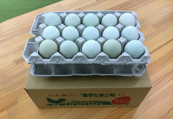 緑の一番星30個（トレイ入）