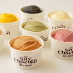 選べるアイスクリーム8個セット