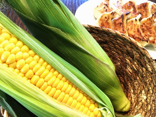 北海道とうきび餃子