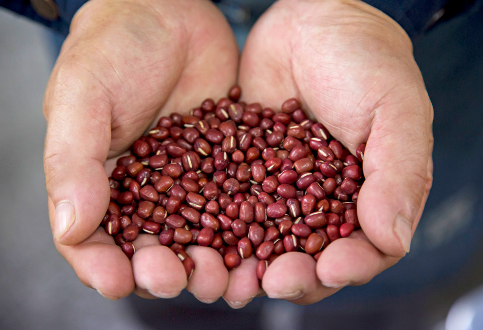 叶匠壽庵　あも　あずき