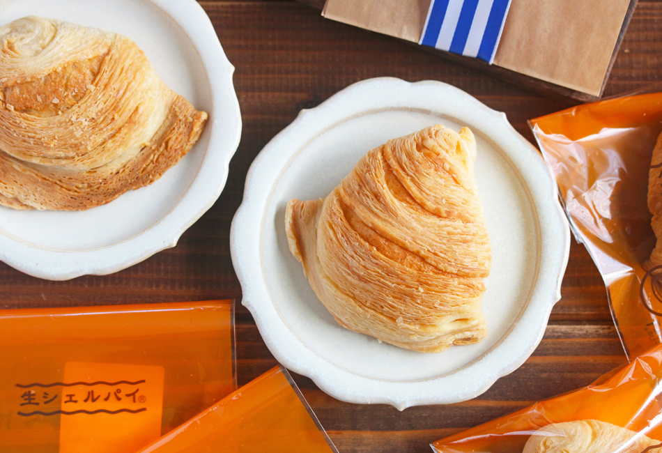 生シェルパイ10コセット　ILE du CHOCOLAT（イル・ド・ショコラ）　冷凍で届きます