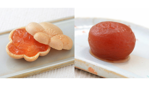 杏もなか・杏花の実セット （杏花の実4個・杏もなか 5個）　信州・杏菓子専門店　杏花堂