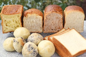 食パン5種とテーブルロール2種食べ比べセット　マンマーノ
