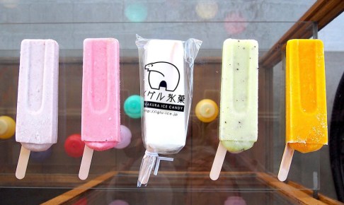 定番アイスキャンディー 10本セット　イグル氷菓