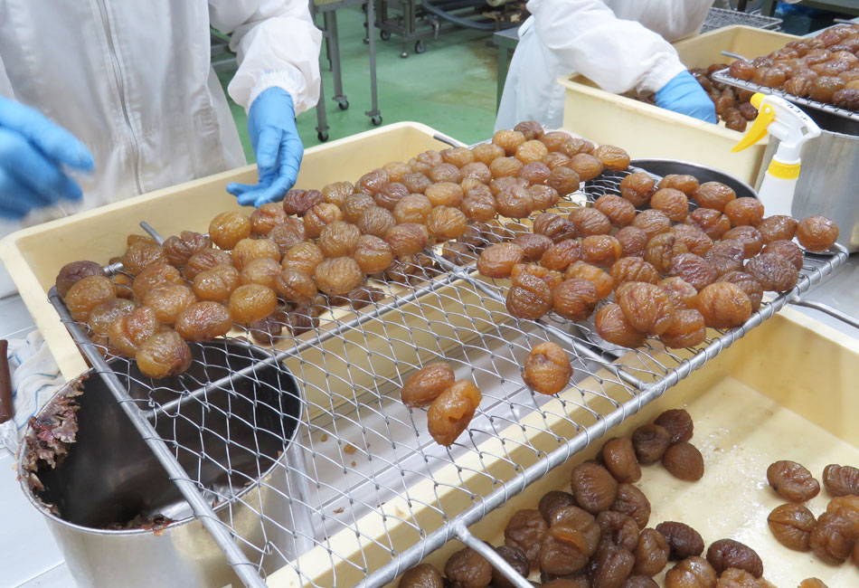 マロングラッセ　メリーチョコレート　栗の区別