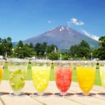 定番ゼリー6個セット／生フルーツゼリー専門店　フルフール御殿場