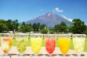 定番ゼリー6個セット／生フルーツゼリー専門店　フルフール御殿場