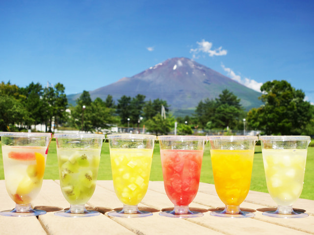 定番ゼリー6個セット／生フルーツゼリー専門店　フルフール御殿場