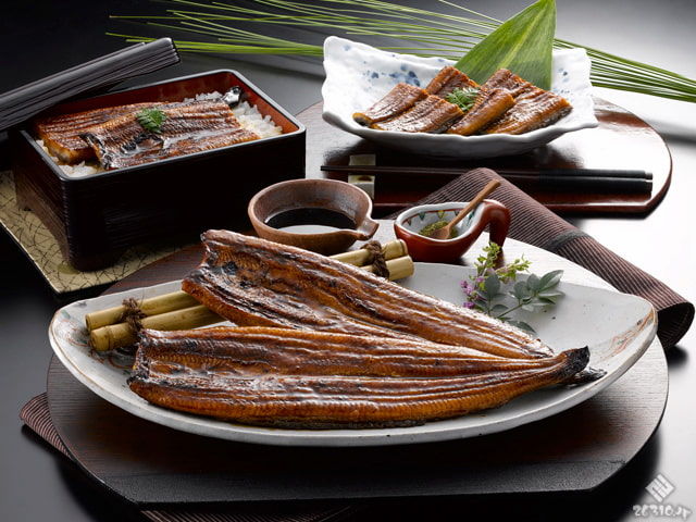 静岡県産！うなぎ長蒲焼き -SeishoRoman- 2尾セット／通販専門店ふるさと産直村