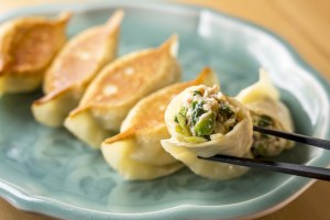 定番！手作り焼餃子（20個セット）　吉春