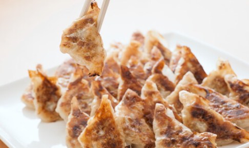 冷凍焼ぎょうざ(10個入・約150g)　湖月