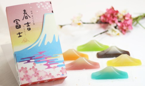 富士山羊かん 6個入り　明治食品工業