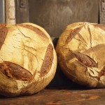 国産ビオ小麦＆ライ麦のカンパーニュ（小）　ブーランジェリー・ドリアン