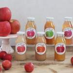 飲み比べが楽しいりんごジュース6本セット／すっぱい林檎の専門店。