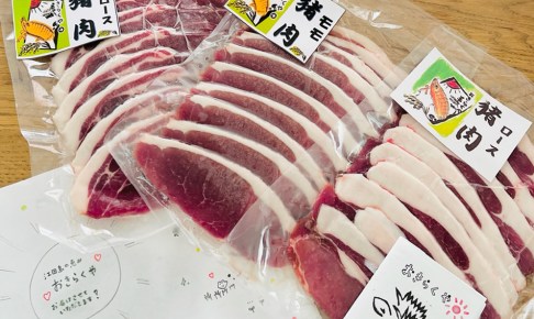 江田島産いのししスライス肉セット　さとやま商店 HIROSHIMA