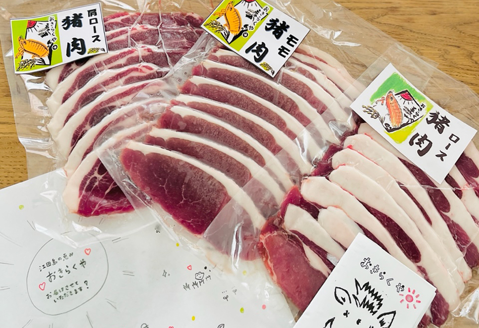 江田島産いのししスライス肉セット　さとやま商店 HIROSHIMA