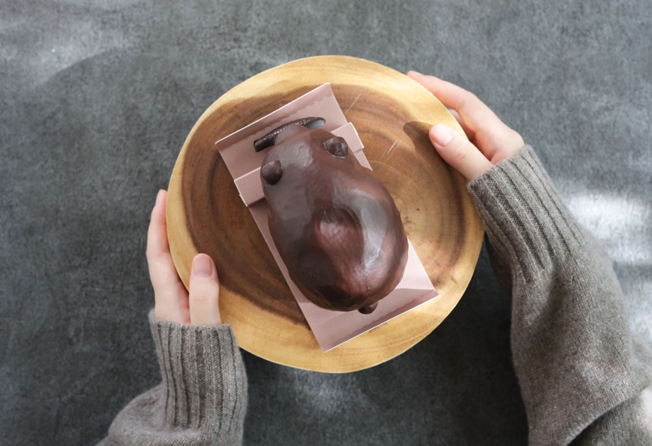 キボリーヌオショコラ　SMILELABO　箱に入ったところ