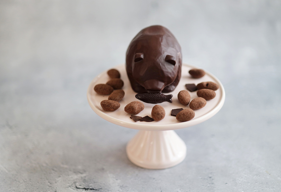 キボリーヌオショコラ　SMILELABO　中身を並べたところ