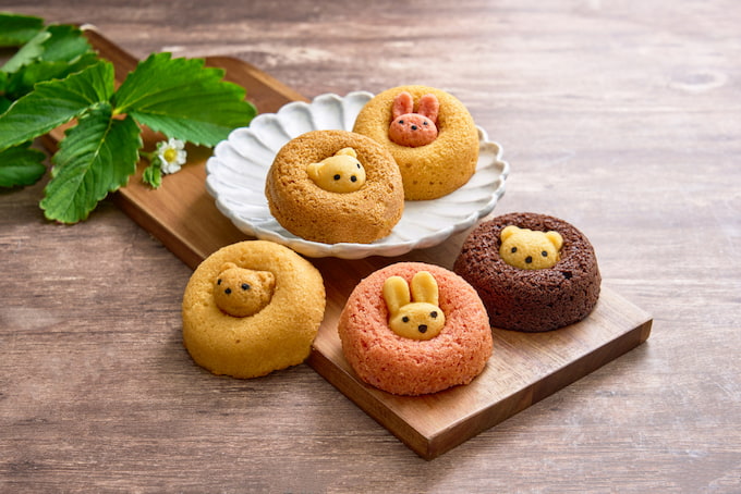 フォレシピ ちいさな森のドーナツ8個／オクル・オ・クール 