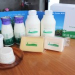 美瑛放牧酪農場Dセット　美瑛放牧酪農場
