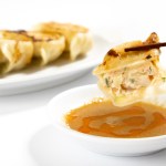 手包みふらの餃子　20個入り　北の恵ふらの宅配便