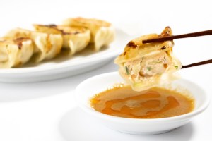 手包みふらの餃子　20個入り　北の恵ふらの宅配便