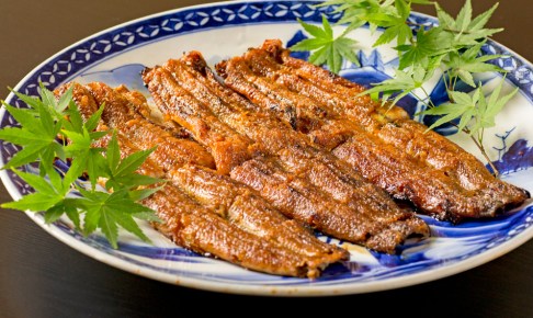 三河一色産うなぎの炭火焼 1.5尾　日本料理 小伴天　皿のせ