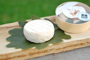 フロマージュ・ド・みらさか 三良坂フロマージュ