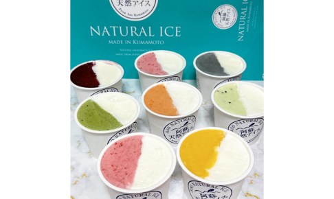 ハーフ＆ハーフ 8個セット　阿蘇天然アイス